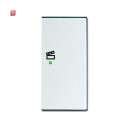 B&J2CKA006220A0069 / Wippe 2-fach rechts, mit Symbol...