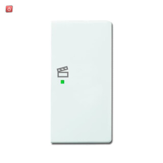 B&J2CKA006220A0070 / Wippe 2-fach rechts, mit Symbol "Szene" / EAN 4011395181799