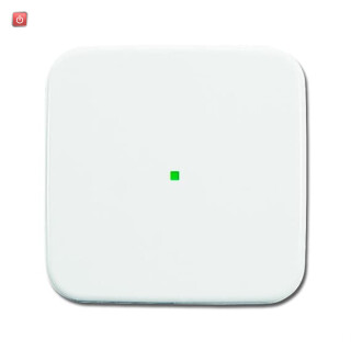 B&J2CKA006220A0078 / Wippe 1-fach, ohne Bedruckung / EAN 4011395180921