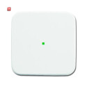 B&J2CKA006220A0078 / Wippe 1-fach, ohne Bedruckung /...