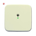 B&J2CKA006220A0079 / Wippe 1-fach, mit Symbol...