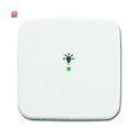 B&J2CKA006220A0080 / Wippe 1-fach, mit Symbol...