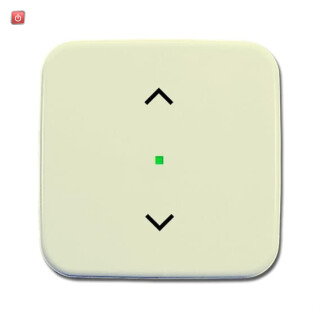 B&J2CKA006220A0081 / Wippe 1-fach, mit Symbol "Jalousie" / EAN 4011395180594