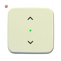B&J2CKA006220A0081 / Wippe 1-fach, mit Symbol...