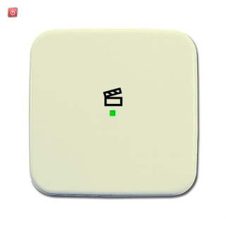B&J2CKA006220A0083 / Wippe 1-fach, mit Symbol "Szene" / EAN 4011395180617