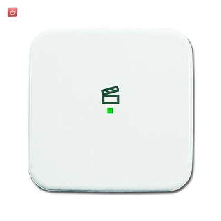 B&J2CKA006220A0084 / Wippe 1-fach, mit Symbol "Szene" / EAN 4011395180952