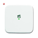 B&J2CKA006220A0084 / Wippe 1-fach, mit Symbol...
