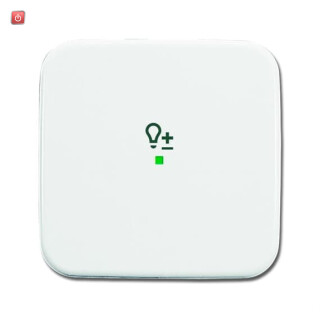 B&J2CKA006220A0086 / Wippe 1-fach, mit Symbol "Dimmer" / EAN 4011395180969