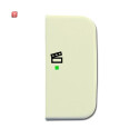 B&J2CKA006220A0101 / Wippe 2-fach rechts, mit Symbol...