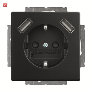 B&J2CKA002011A6279 / 20 EUCB2USB-885 SCHUKO® 2x USB-Steckdose / EAN 4011395303801