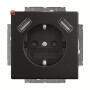 B&J2CKA002011A6279 / 20 EUCB2USB-885 SCHUKO® 2x USB-Steckdose / EAN 4011395303801