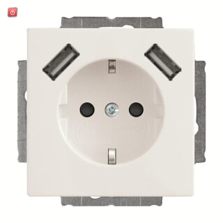 B&J2CKA002011A6273 / 20 EUCB2USB-84 SCHUKO® 2x USB-Steckdose / EAN 4011395303542