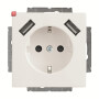 B&J2CKA002011A6273 / 20 EUCB2USB-84 SCHUKO® 2x USB-Steckdose / EAN 4011395303542