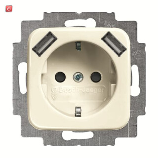 B&J2CKA002011A6263 / 20 EUCB2USB-212 SCHUKO®-/ 2x USB-Steckdose / EAN 4011395303498