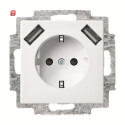 B&J2CKA002011A6266 / 20 EUCB2USB-914 SCHUKO® 2x...