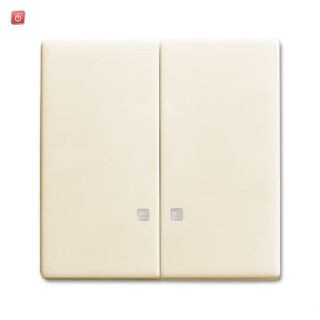B&J2CKA001751A3123 / Wippe Wippe-Serien-Kontrollschalter / EAN 4011395223857