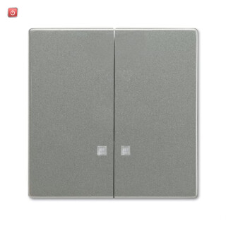 B&J2CKA001751A3129 / Wippe Wippe-Serien-Kontrollschalter / EAN 4011395223918