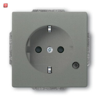 B&J2CKA002013A5456 / SCHUKO® Steckdosen-Einsatz mit LED Kontrolllicht / EAN 4011395228494