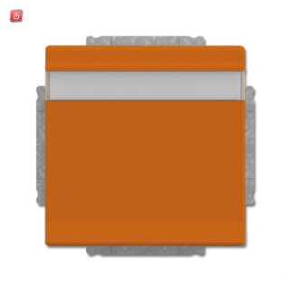 B&J2CKA002018A1535 / SCHUKO® Steckdosen-Einsatz mit Klappdeckel und Beschriftungsfeld / EAN 4011395229378