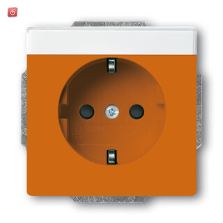 B&J2CKA002013A5425 / SCHUKO® Steckdosen-Einsatz mit Beschriftungsfeld / EAN 4011395228890