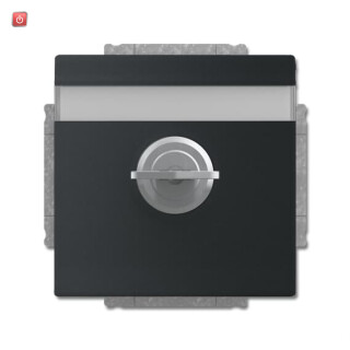 B&J2CKA002018A1567 / SCHUKO® Steckdosen-Einsatz mit Klappdeckel und Schloss / EAN 4011395226155