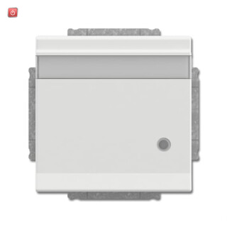 B&J2CKA002018A1552 / SCHUKO® Steckdosen-Einsatz mit Klappdeckel, Beschriftungsfeld und LED / EAN 4011395229545