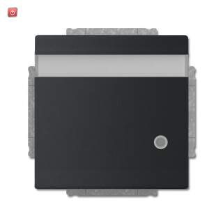 B&J2CKA002018A1553 / SCHUKO® Steckdosen-Einsatz mit Klappdeckel, Beschriftungsfeld und LED / EAN 4011395229552