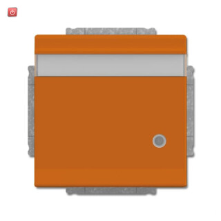 B&J2CKA002018A1546 / SCHUKO® Steckdosen-Einsatz mit Klappdeckel, Beschriftungsfeld und LED / EAN 4011395229484
