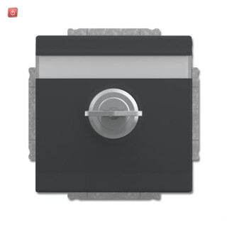 B&J2CKA002018A1557 / SCHUKO® Steckdosen-Einsatz mit Klappdeckel und Schloss / EAN 4011395225936