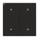 B&J2CKA001751A3273 / 2570-20-885 Wippe 2-fach...