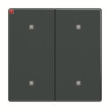 B&J2CKA001751A3272 / 2570-20-81 Wippe 2-fach...