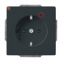 B&J2CKA002011A3830 / Busch-Protector® SCHUKO® Steckdosen-Einsatz mit Überspannungsschutz / EAN 4011395078839