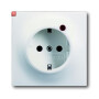 B&J2CKA002011A3894 / Busch-Protector® SCHUKO® Steckdosen-Einsatz mit Überspannungsschutz / EAN 4011395129074