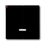 B&J2CKA006599A2969 / Bedienelement mit Glimmlampe / EAN 4011395129524