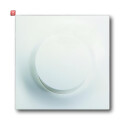 B&J2CKA006599A2972 / Bedienelement mit Glimmlampe /...
