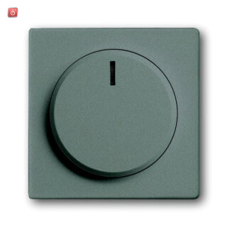 B&J2CKA006599A2980 / Zentralscheibe mit Drehknopf, Bef.-Mutter und Glimmlampe / EAN 4011395137314