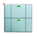 B&J2CKA006730A0052 / Wandsender WaveLINE 2 Kanal /...