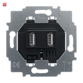 B&J2CKA006400A0032 / USB-Ladestation-Einsatz / EAN 4011395156414
