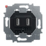 B&J2CKA006400A0032 / USB-Ladestation-Einsatz / EAN 4011395156414