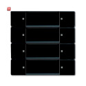 B&J2CKA006730A0131 / Wandsender ZigBee Light Link 4...