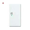 B&J2CKA006220A0366 / Wippe 2-fach rechts, mit Symbol...