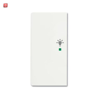 B&J2CKA006220A0487 / Wippe 2-fach links, mit Symbol "Licht" / EAN 4011395203194