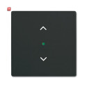 B&J2CKA006220A0500 / Wippe 1-fach, mit Symbol...