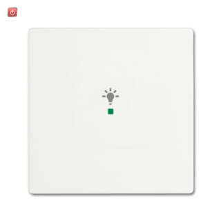 B&J2CKA006220A0482 / Wippe 1-fach, mit Symbol "Licht" / EAN 4011395203132