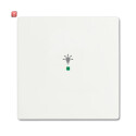 B&J2CKA006220A0482 / Wippe 1-fach, mit Symbol...
