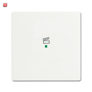 B&J2CKA006220A0484 / Wippe 1-fach, mit Symbol "Szene" / EAN 4011395203156