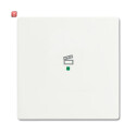 B&J2CKA006220A0484 / Wippe 1-fach, mit Symbol...