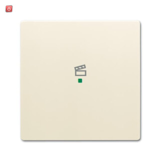 B&J2CKA006220A0399 / Wippe 1-fach, mit Symbol "Szene" / EAN 4011395202449