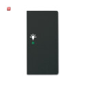 B&J2CKA006220A0509 / Wippe 2-fach rechts, mit Symbol...