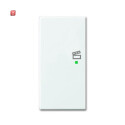 B&J2CKA006220A0363 / Wippe 2-fach links, mit Symbol...